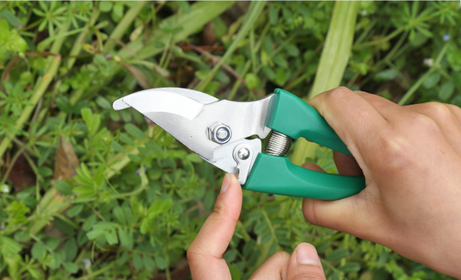 Ten-piece gardening tool set