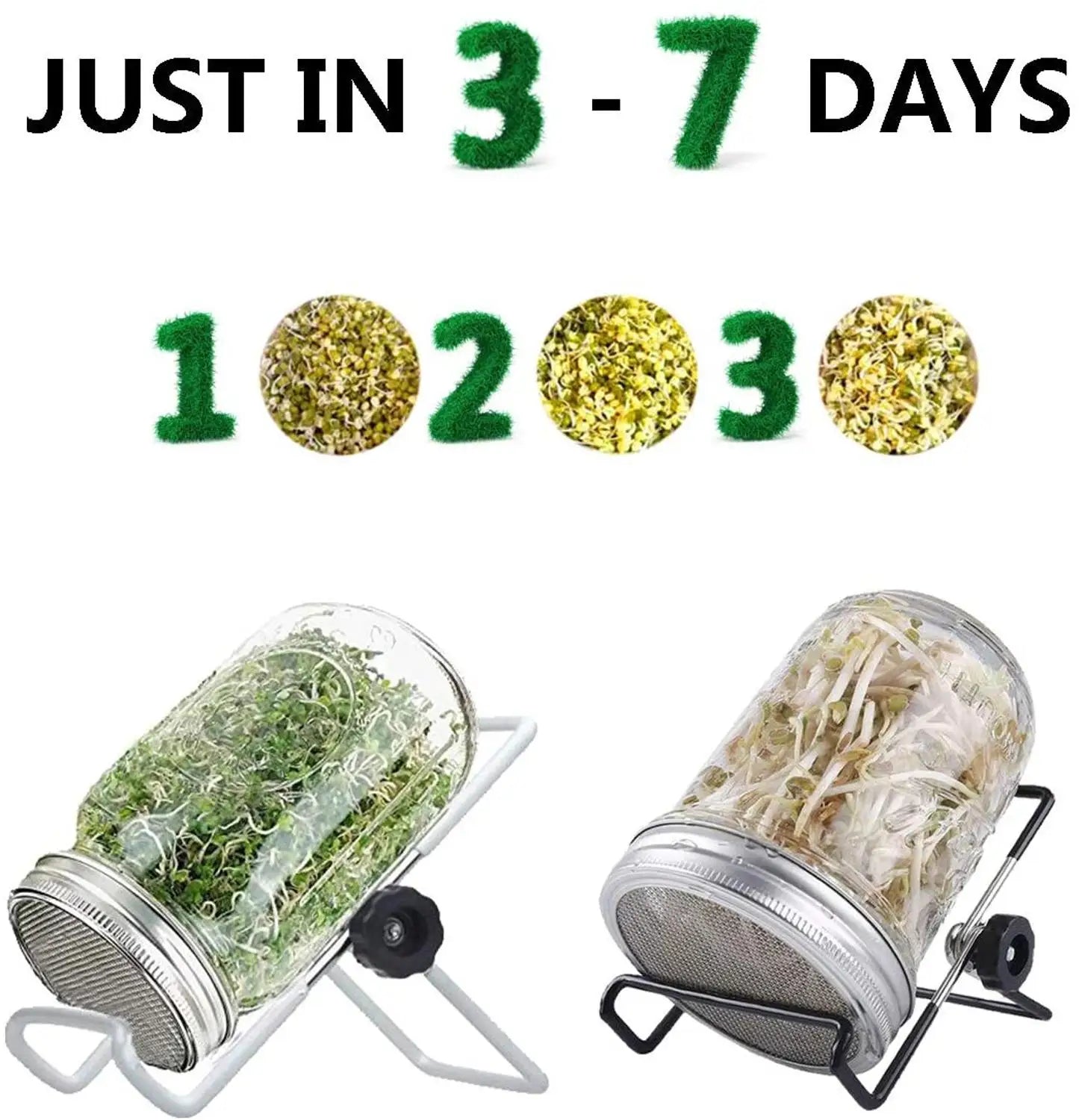 1Set Seed Sprouter Germination Cover Kit Sprouting Mason Jars with Stainless Steel Strainer Lids Stainless Steel Germinator Stan