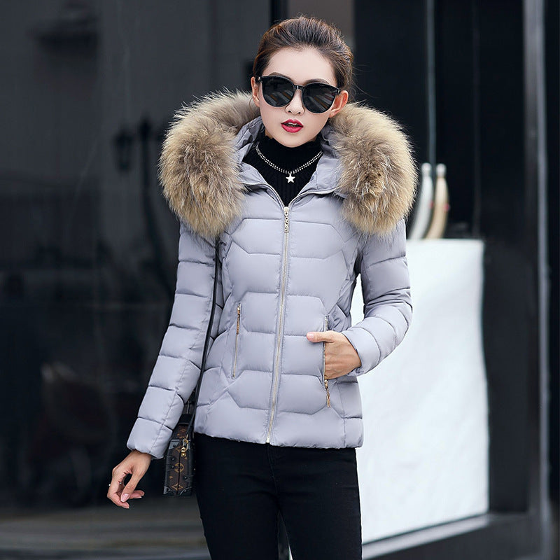 Short Slim Fit Women's Clothing Large Fur Collar Down Jacket